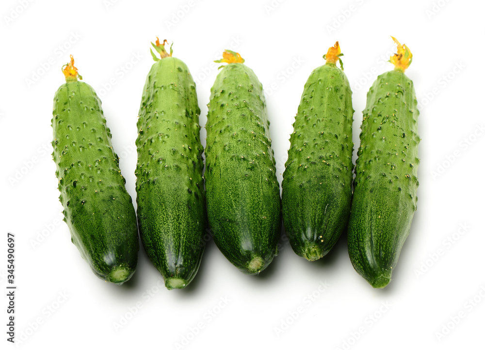 Green cucumber on the white background Green cucumber on the white background