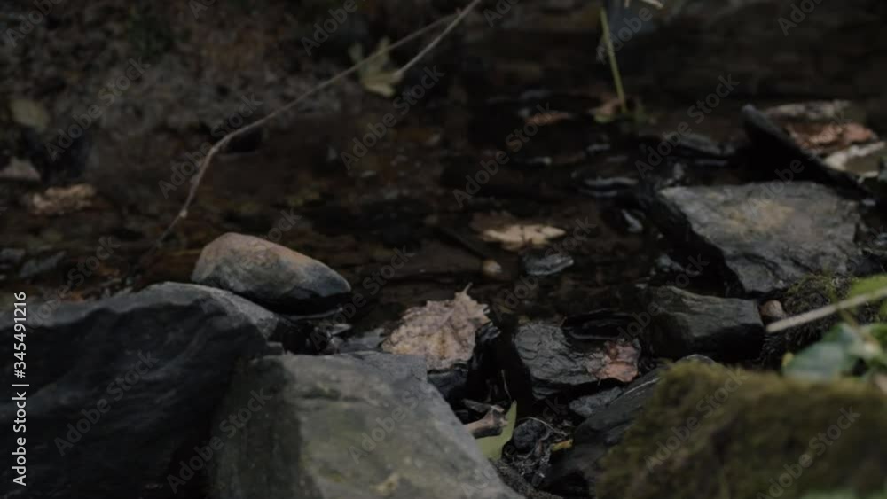 Natural clear water stream with rocks and autumn leaves close up panning shot Natural clear water stream with rocks and autumn leaves close up panning shot