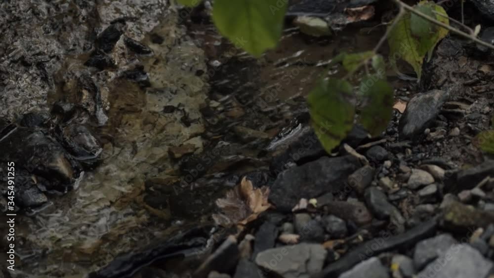 Natural clear water stream with rocks stones panning shot Natural clear water stream with rocks stones panning shot