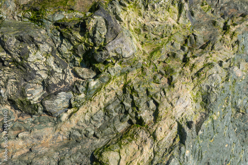 Stone, rock, textured texture for design use. With a green tint