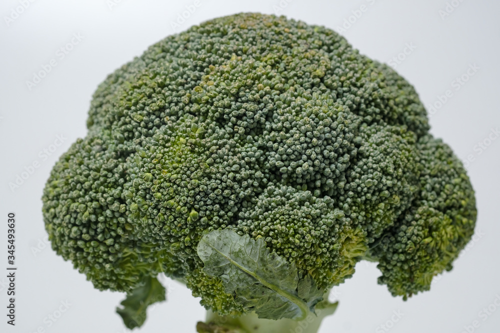 Fresh broccoli isolated on white background Fresh broccoli isolated on white background