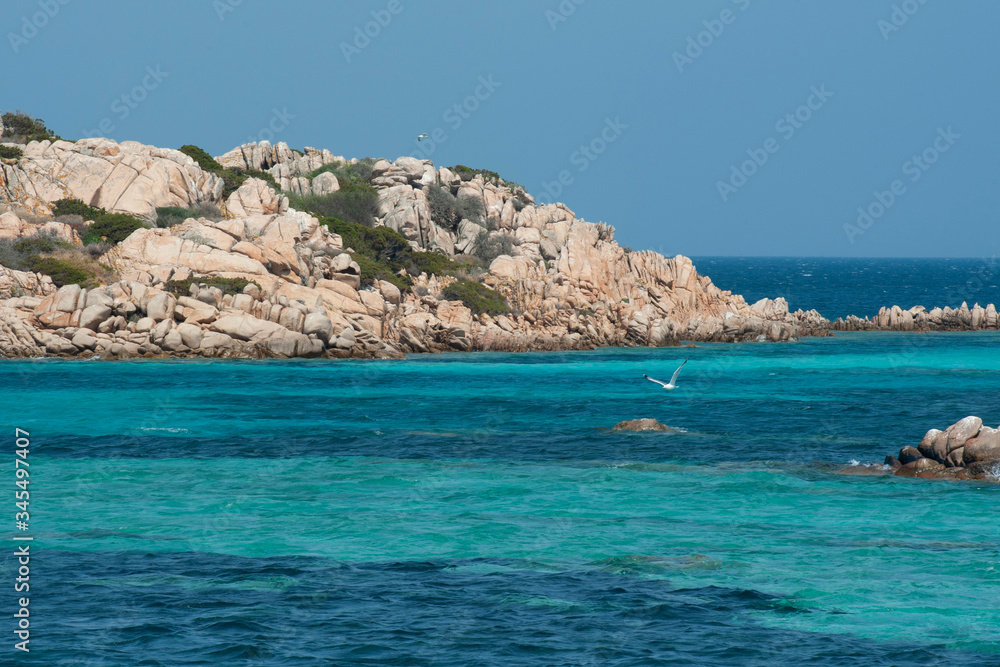 A wonderful view to discover a pristine and colorful sea with in the background a seagull flying free on a sunny day in summer with the blue sky, in Sardinia Italy