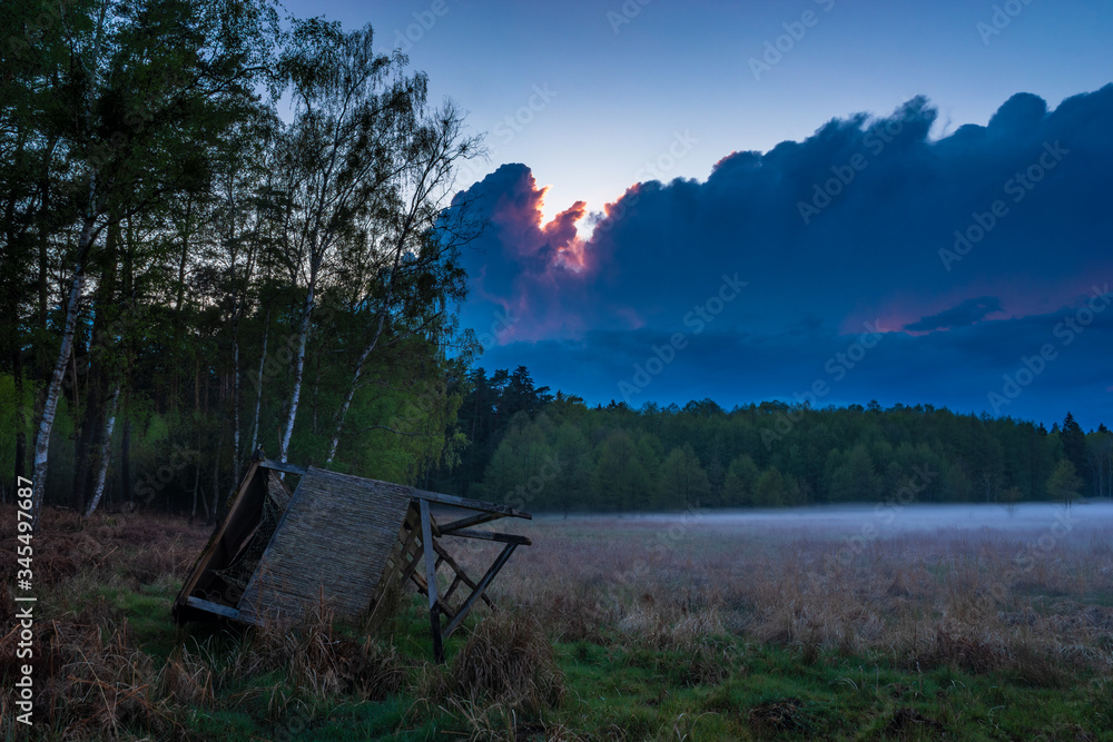 Dangerous, dramatic evening storm passing over the forest
