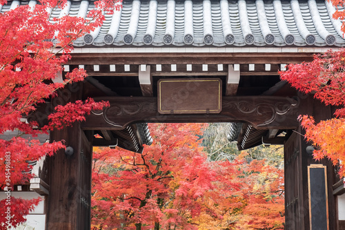 Japanese traditional Wooden gate with colorful leaves in Autumn foliage season. Kyoto, Kansai, Japan photo