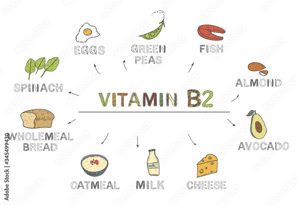 Vitamin B2 (riboflavin). Foods rich in b2, natural products, fruits