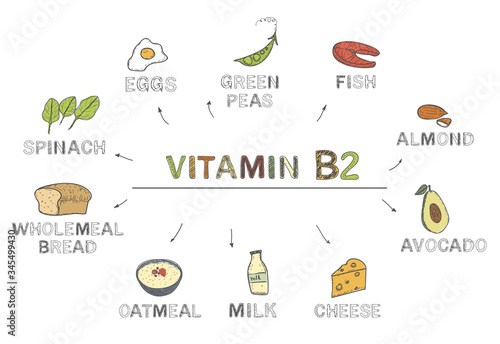 Vitamin B2 (riboflavin). Foods rich in b2, natural products, fruits, vegetables on white background. Healthy lifestyle concept