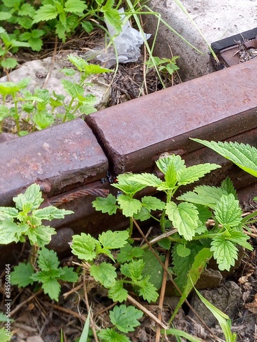 railwaly