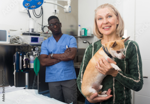 Portrait of woman with her dog chihuahua before consulting by professional veterinarian