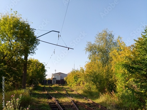 railway in the forest