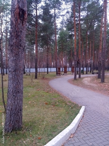 path in the park