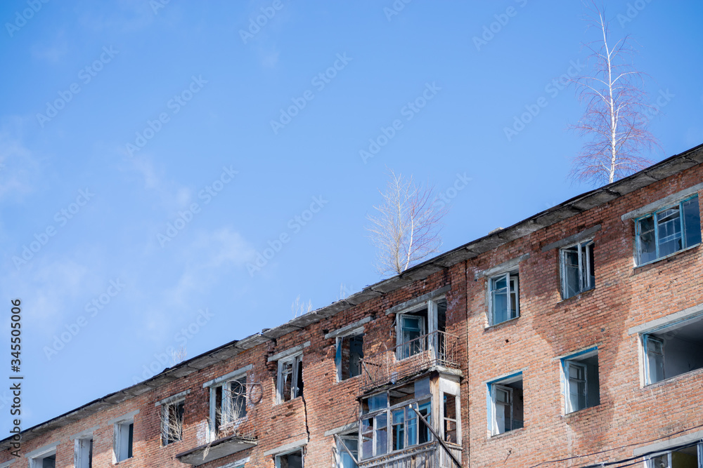 A collapsing house on which trees grow. A collapsing house on which trees grow.