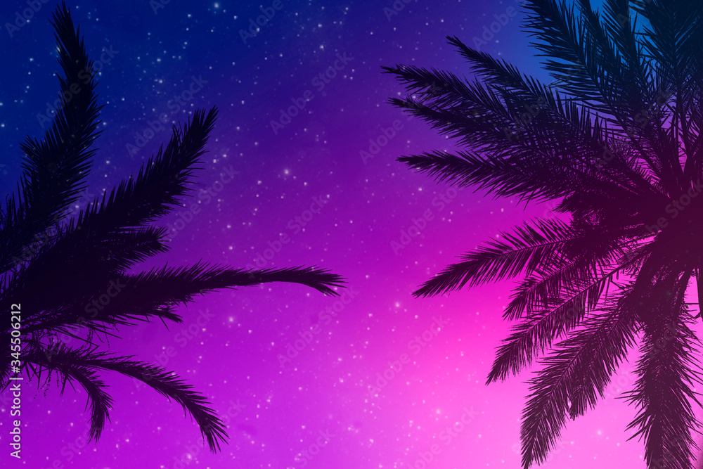 Abstract starry sky and silhouettes of palm trees. Can be used as wallpaper. Tropics concept, tropics night. Flat lay, top view