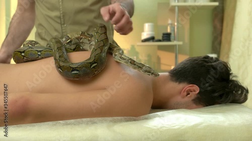 Health treatmant with snakes massage. Young man receiving exotic therapeutic procedure with reptiles. Animal therapy for stress relief. photo