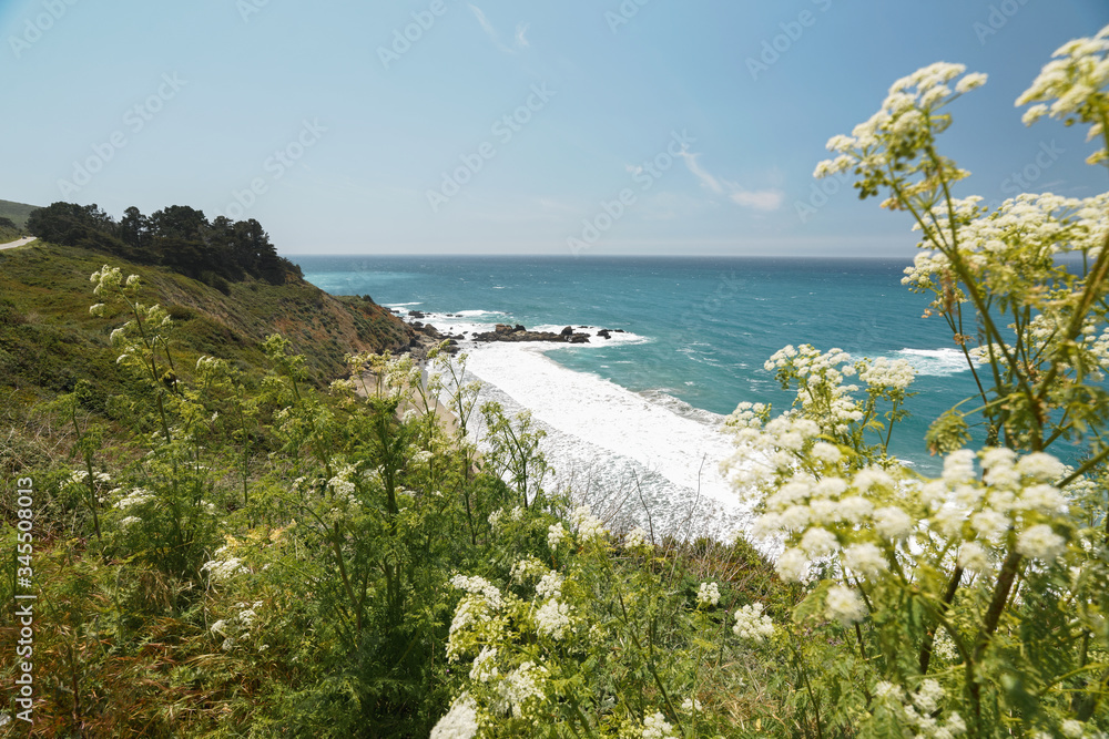 Big Sur, Monterey County, California. Pacific Ocean, cliffs, and native plants on the beach.