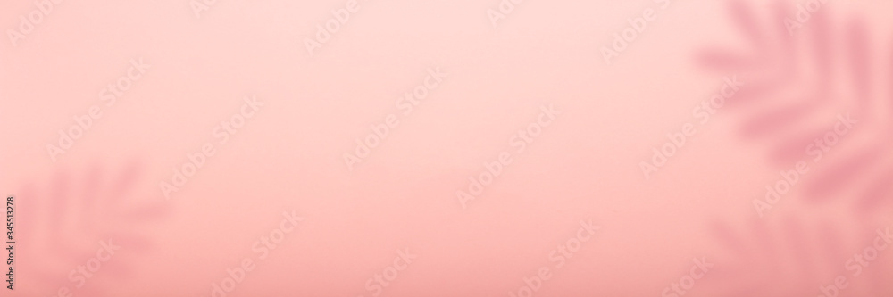 Abstract pink background and shadow of a leaf of a tropical plant. Can be used as wallpaper or background. Banner. Flat lay, top view Abstract pink background and shadow of a leaf of a tropical plant. Can be used as wallpaper or background. Banner. Flat lay, top view