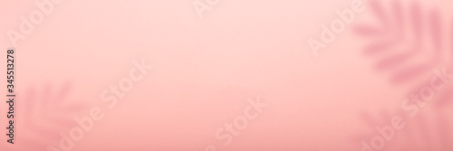 Abstract pink background and shadow of a leaf of a tropical plant. Can be used as wallpaper or background. Banner. Flat lay, top view