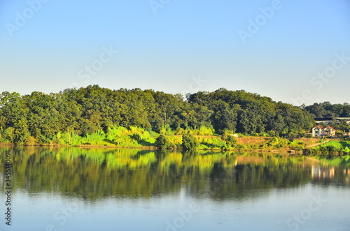landscape with trees and lake