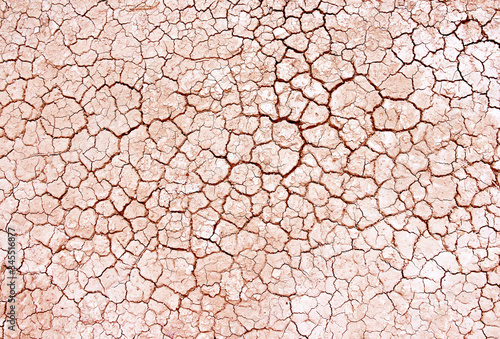 Fotografiet Seamless dry soil cracked texture background