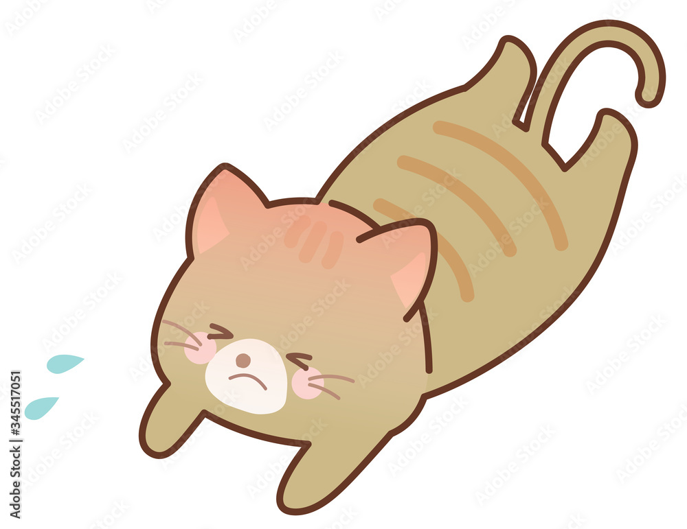 熱中症になった猫 熱中症になった猫