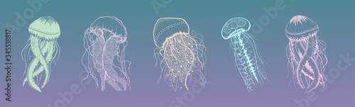 Set of jellyfish in gentle colors. Stylized images. Beautiful outline in animalistic style.