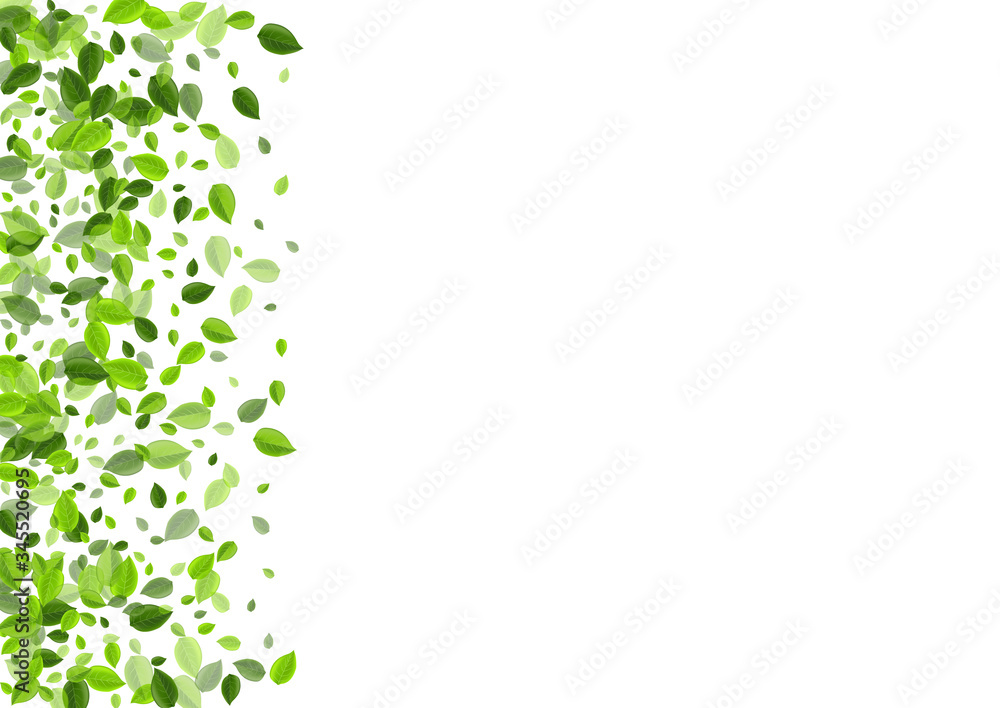Mint Greens Ecology Vector Border. Nature Leaves Mint Greens Ecology Vector Border. Nature Leaves