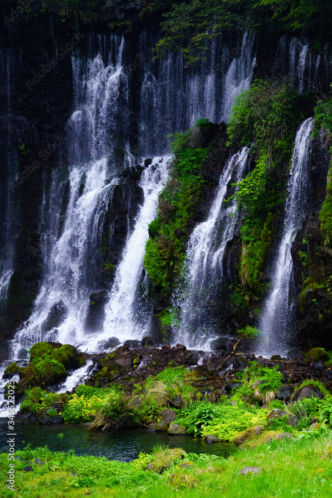 Fototapeta premium 白糸の滝