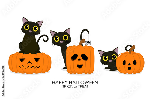 Happy Halloween greeting card with cute black cat and spooky pumpkin. Animal holidays cartoon character. -Vector.