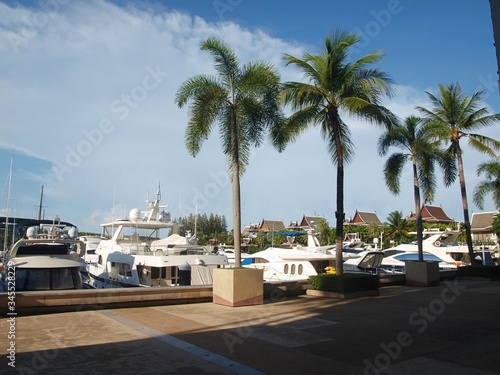 Luxury yacht's club in a tropical coastal town. Promenade, palm trees and yachts in the ray of sunlight. Sky, clouds, palm trees, boats, road in Royal Phuket Marina. Resort in Thailand