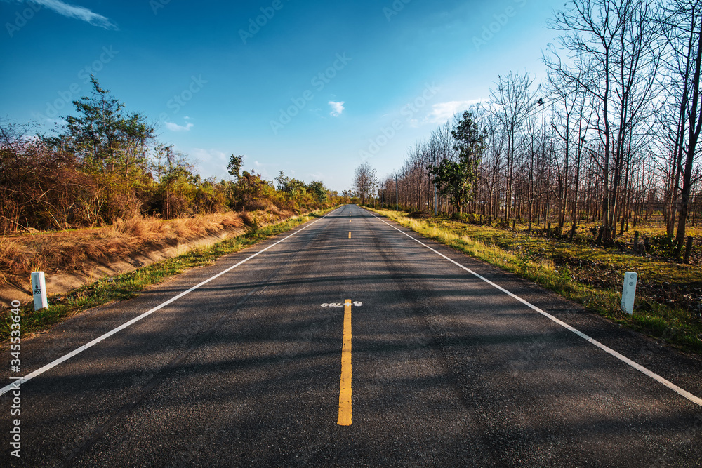 Fototapeta premium open road. Asphalt road through the green field and clouds on blue sky in summer day. 