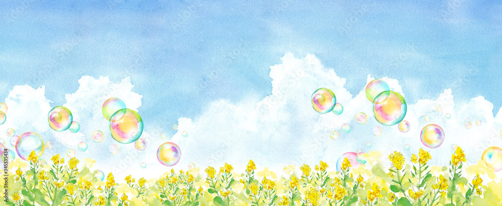 青空と菜の花畑とシャボン玉 水彩イラスト Stock イラスト Adobe Stock