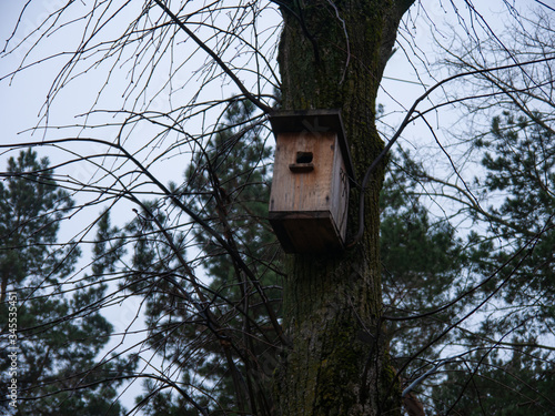 bird house on tree