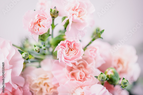 Beautiful pink carnations flowers on a light background