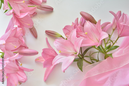 Pink lilies on a white background