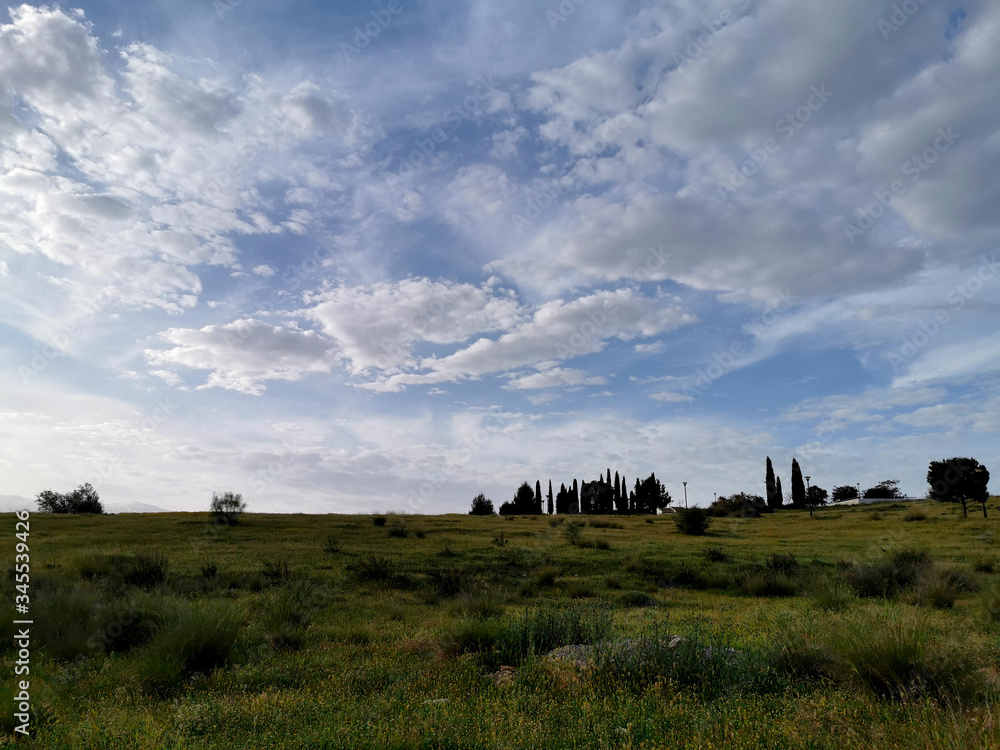 sunrise in a grass meadow with cloudy sky sunrise in a grass meadow with cloudy sky