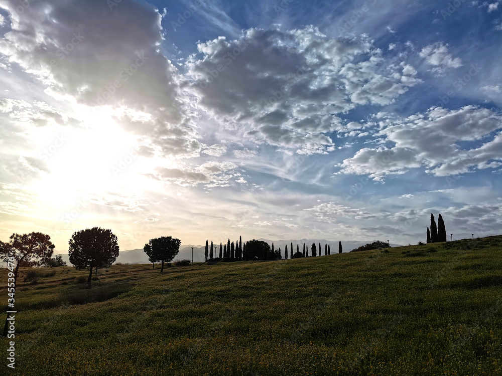 sunrise in a grass meadow with cloudy sky sunrise in a grass meadow with cloudy sky