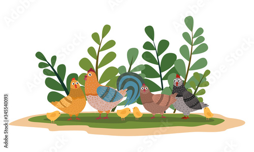 Hens, cockerel and chickens in a poultry yard surrounded by tall green grass. Vector children cartoon illustration