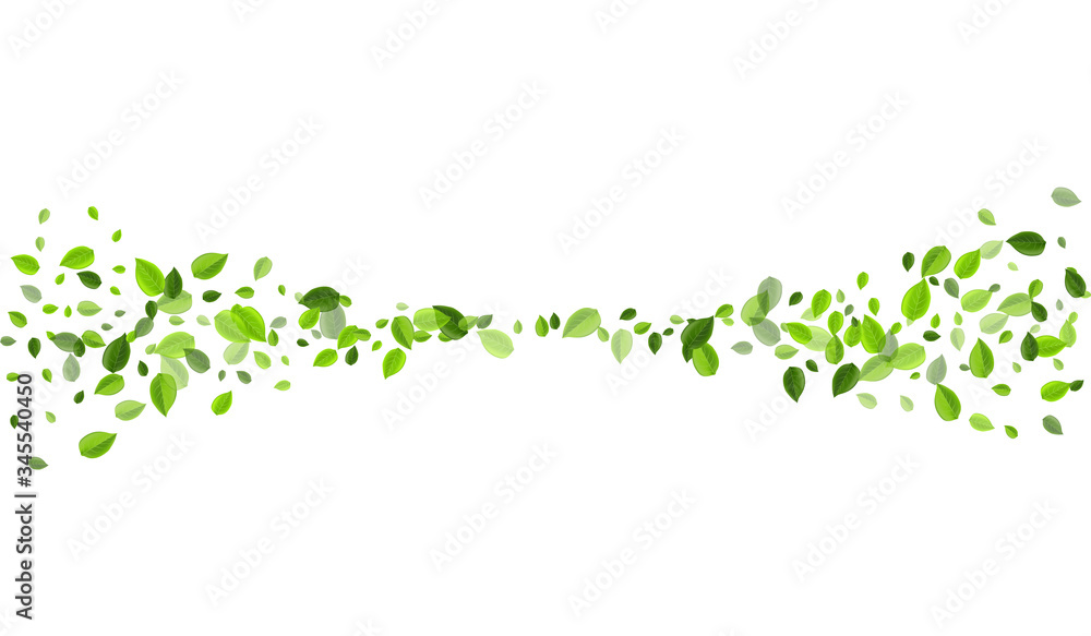 Swamp Leaf Flying Vector Template. Falling Greens Swamp Leaf Flying Vector Template. Falling Greens