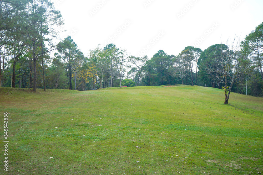 Beautiful golf course in a sunny day.