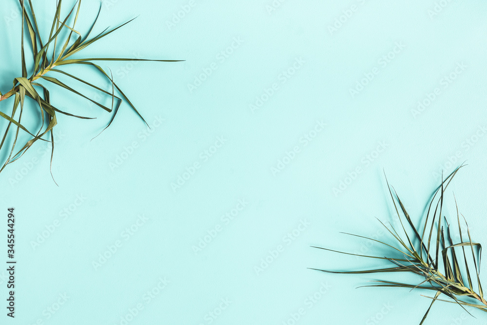 Tropical leaf on blue background. Summer concept. Flat lay, top view