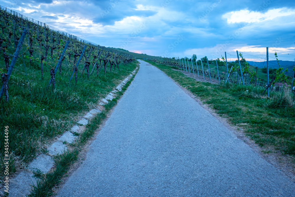 Road in vineyard with clouds in the sky