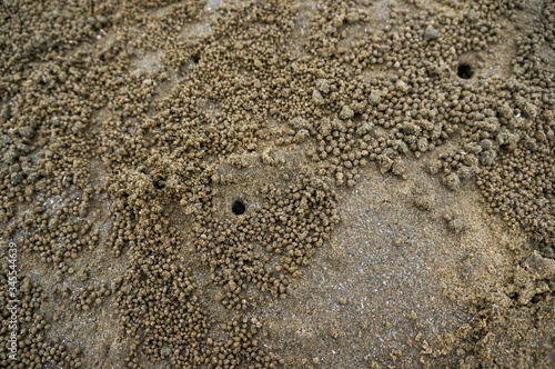 mysterious crab feeding activity & crab cave