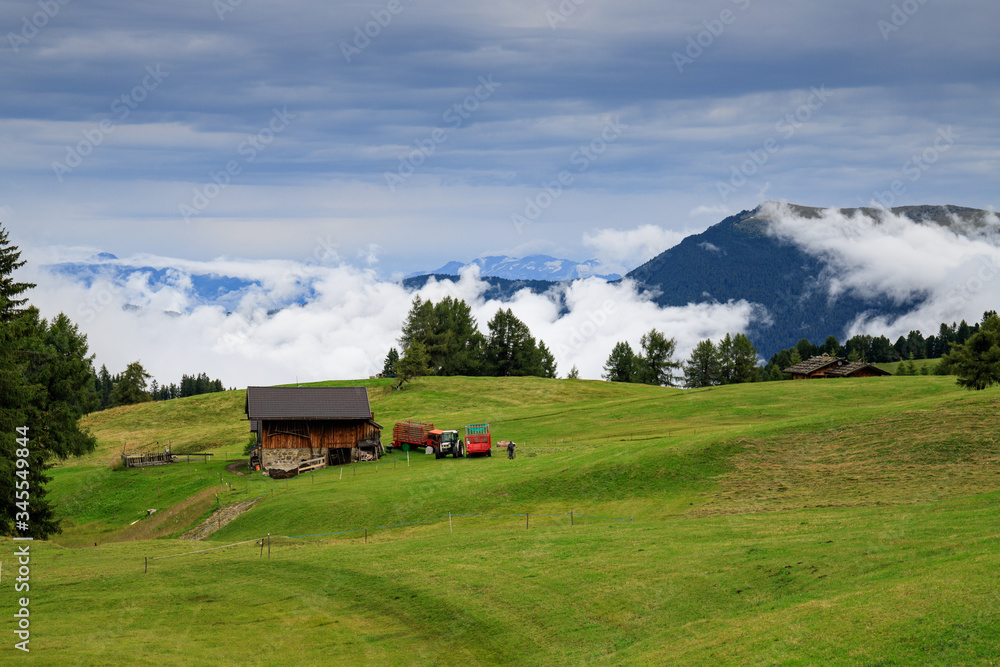 Alpe di Siusi, Trentino Alto Adige