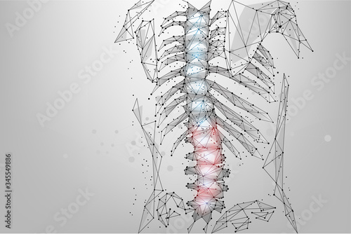 Abstract mesh line and dot physiotherapy human spine. Low poly Pain area surgery operation. Polygonal render female back hernia illustration