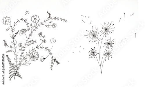 Doodle of spring plants. Intricate design of flowers