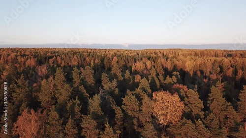 4K aerial bright autumn sunset high quality video footage of lush bright red and brown countryside forest and fields in rural village outskirts in Yaroslavl region of Russia photo