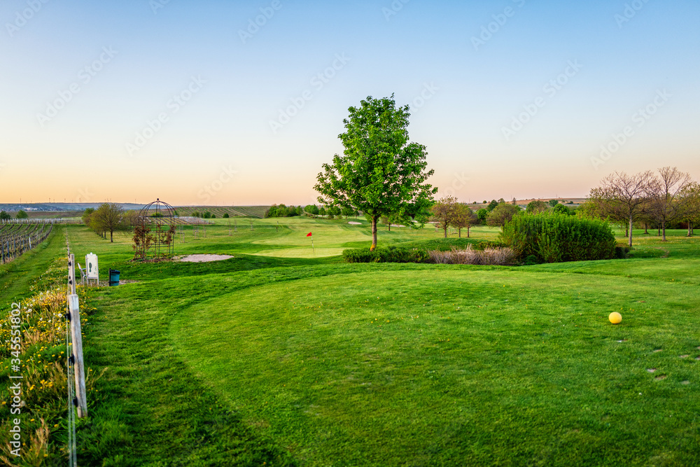 Obraz premium path in the park