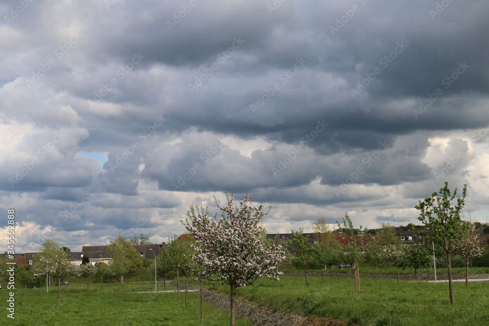 Obraz premium wolken