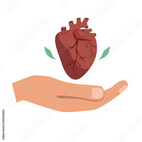 Heart donation vector. Giving hand with heart symbol. The bioengineering technologies for creating viable organs for transplantation concept.