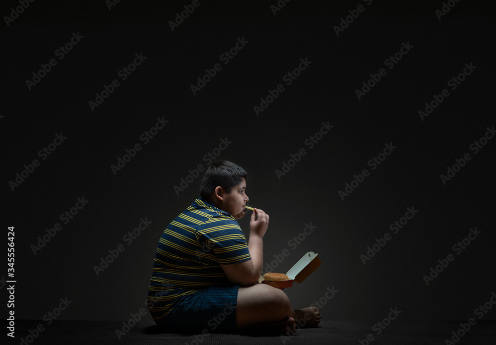 Young boy eating burger and fries. (Obesity)
Young boy eating burger and fries. (Obesity)