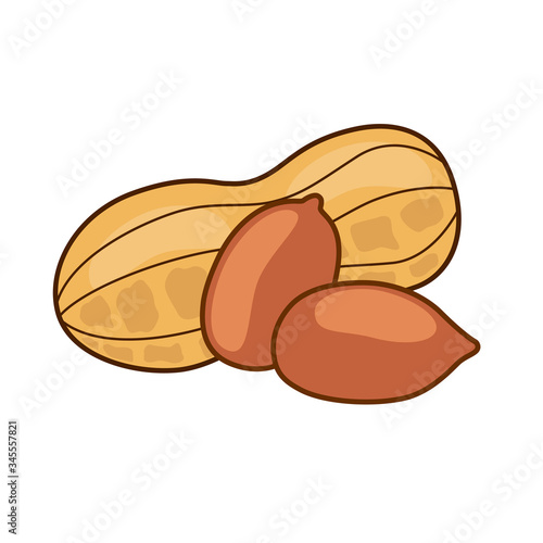 Peanut isolated on white background. Colorful peanuts in flat style. Vector illustration. Abstract symbol organic food.